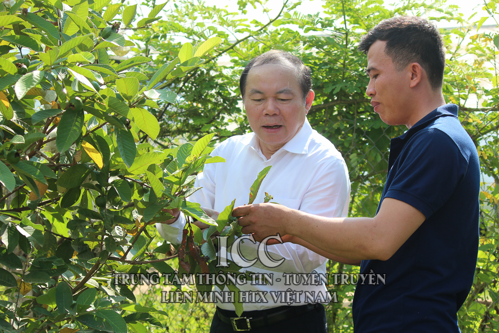 Sự kiện nổi bật